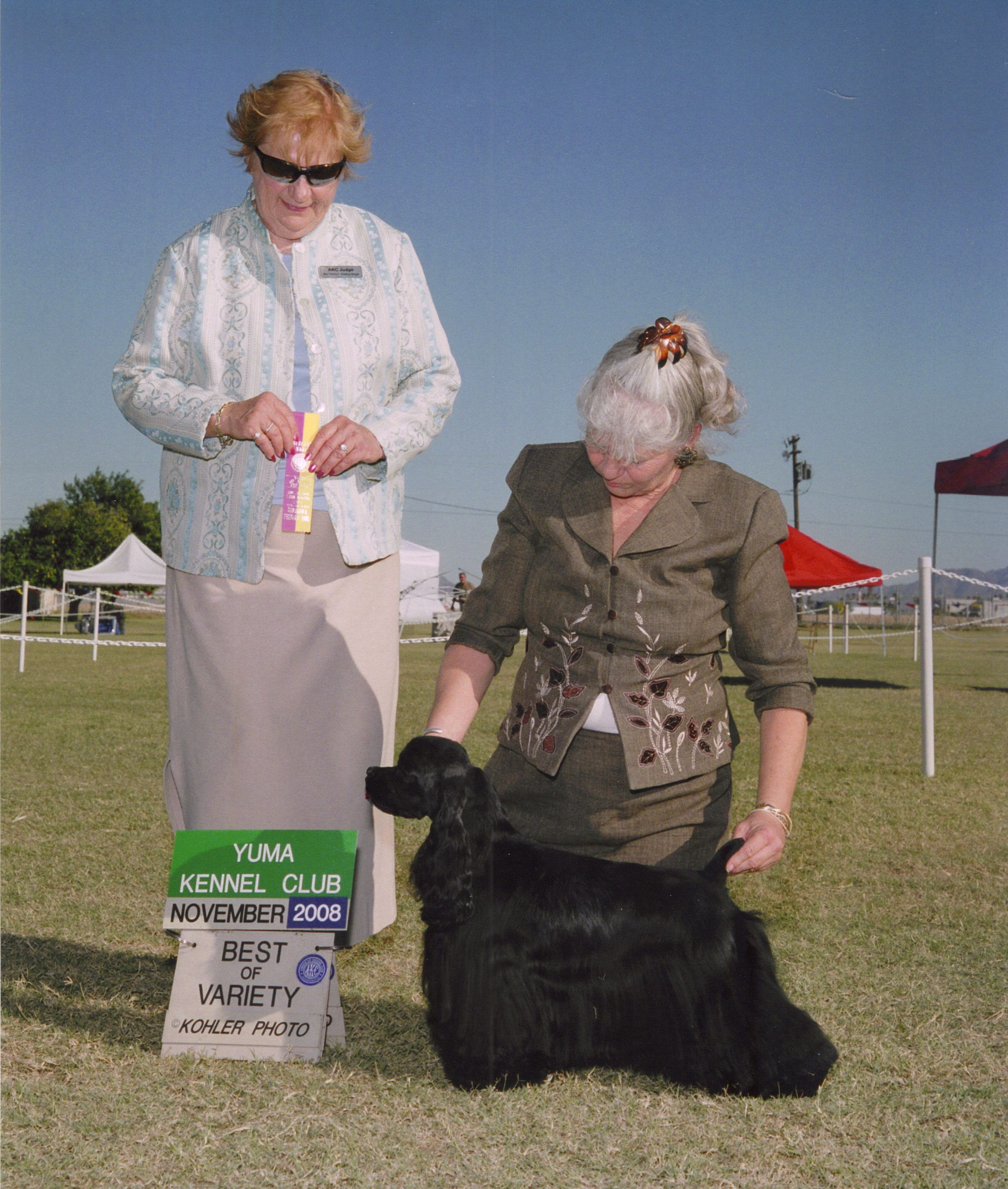 summer_bov_yuma_2008.jpg