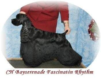 tobydec2004.jpg